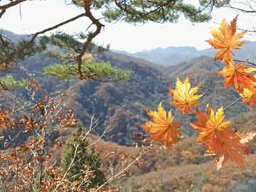 朱家鋪鎮(zhèn)新任領導團隊引領未來，朱家鋪鎮(zhèn)新任領導團隊啟航未來發(fā)展之路