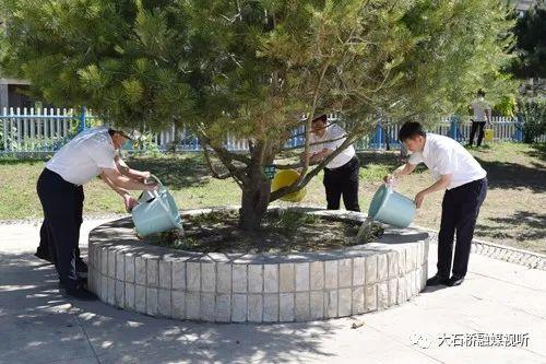 大石橋市衛(wèi)生健康局最新項目進展報告，大石橋市衛(wèi)生健康局項目進展報告，最新動態(tài)與成果