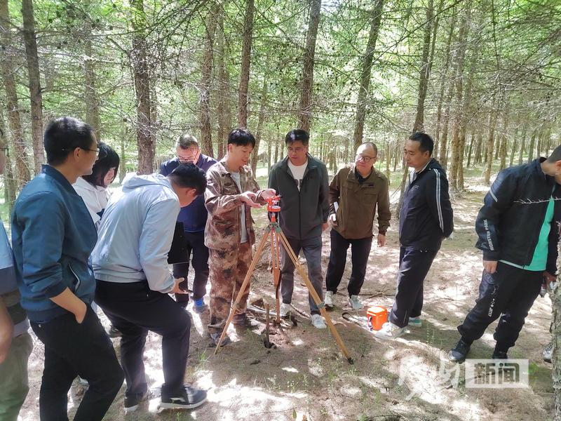 林場最新新聞，綠色發(fā)展的步伐與生態(tài)建設(shè)的成果，林場綠色發(fā)展步伐加快，生態(tài)建設(shè)成果顯著，最新新聞報道