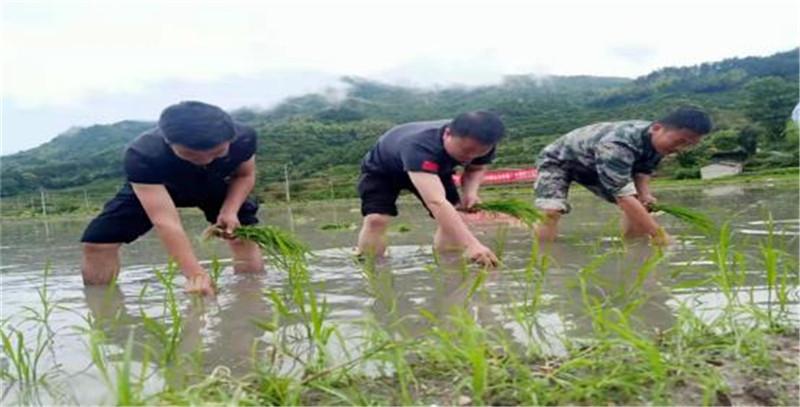 塔城市退役軍人事務(wù)局最新發(fā)展規(guī)劃，塔城市退役軍人事務(wù)局未來(lái)發(fā)展規(guī)劃展望