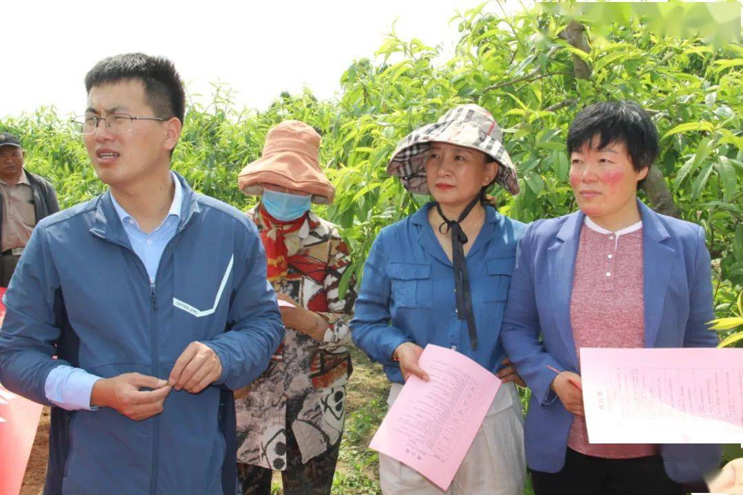 白學(xué)村最新人事任命動(dòng)態(tài)解析，白學(xué)村最新人事任命動(dòng)態(tài)深度解析