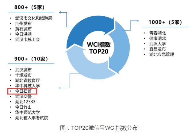 石首市數(shù)據(jù)和政務(wù)服務(wù)局最新項(xiàng)目進(jìn)展深度解析，石首市數(shù)據(jù)和政務(wù)服務(wù)局最新項(xiàng)目進(jìn)展深度剖析