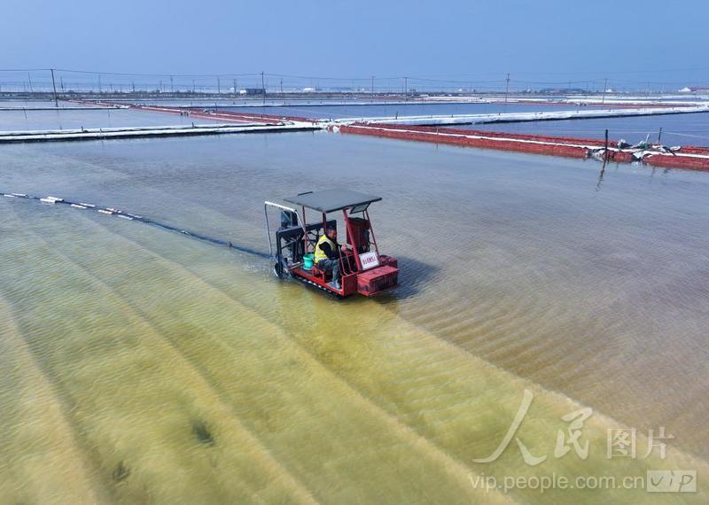 海門市海門鹽場最新新聞，海門鹽場最新動態(tài)報道