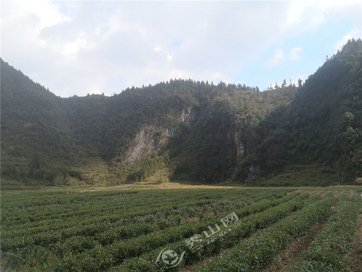 溶溪鎮(zhèn)最新交通新聞，邁向現(xiàn)代化交通體系的重要步伐，溶溪鎮(zhèn)交通新聞，邁向現(xiàn)代化交通體系的關(guān)鍵步伐